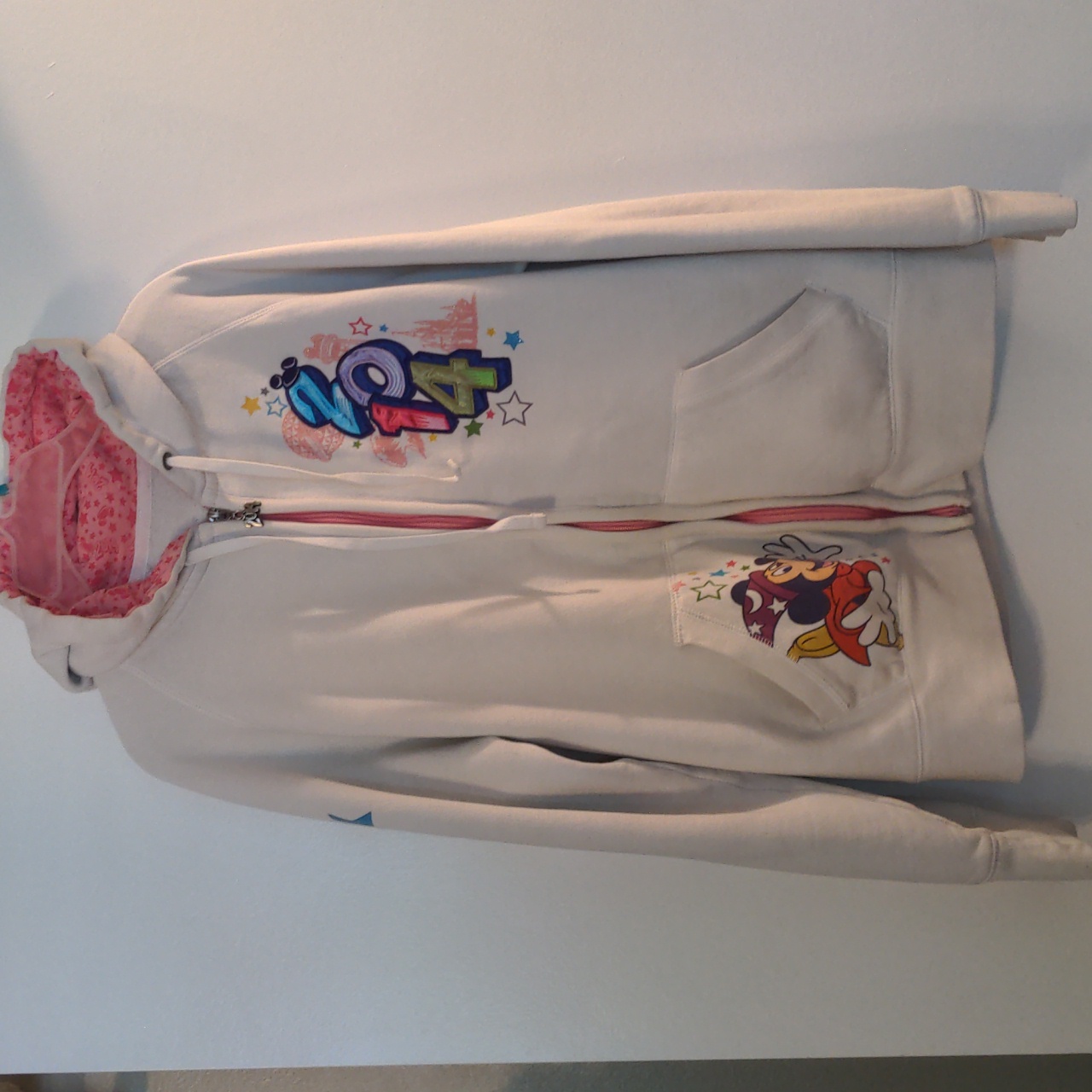 Disney Parks 2014 Hoodie